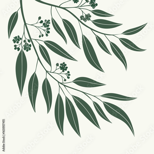 Stylized illustration of dark green eucalyptus branches with leaves and seed pods on a cream background