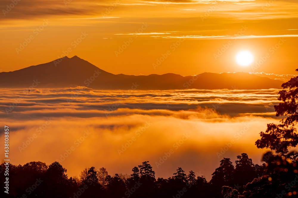 Obraz premium 朝日に染まる雲海