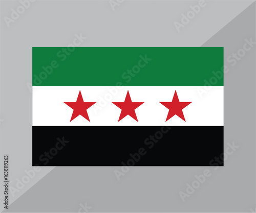 Syria National Flag Isolated on White Background