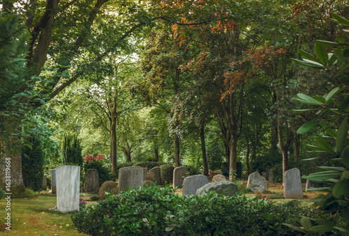 Bäume im Park und Wald Friedhof im August, verschiedenes Grün