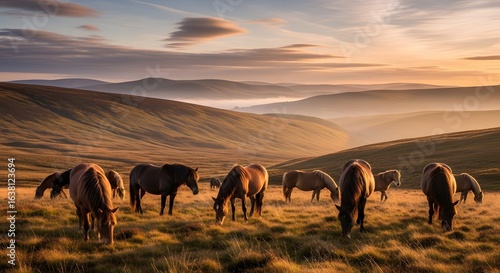 A herd of wild horses grazing on a misty hillside at sunrise