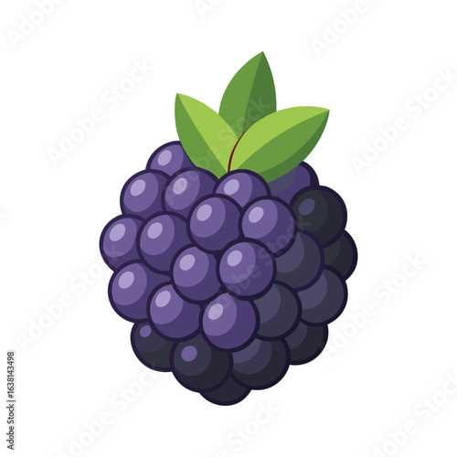 Ripe Blackberry with Green Leaves Vector Illustration on White Background