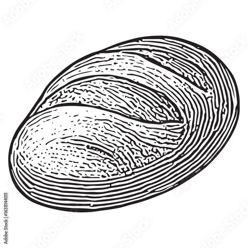 Round Artisan Bread Loaf Illustration – Rustic Crusty Boule Vintage Bakery Drawing
