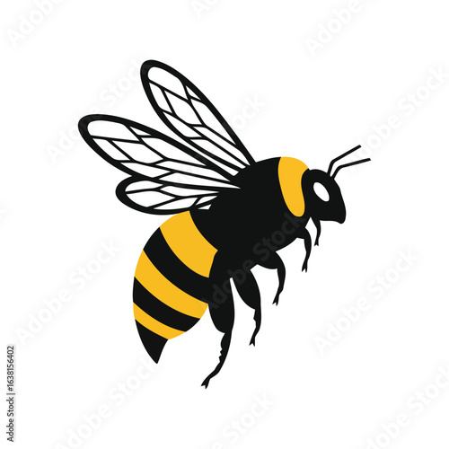 Flying bee illustration insect vector nature wildlife buzzing pollinator isolated graphic