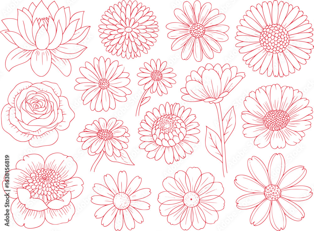Obraz premium Delicate Red Outlines Showcase a Variety of Blossom Flowers, each Displaying its Unique Structure and Enhancing the Artistic Floral Arrangement
