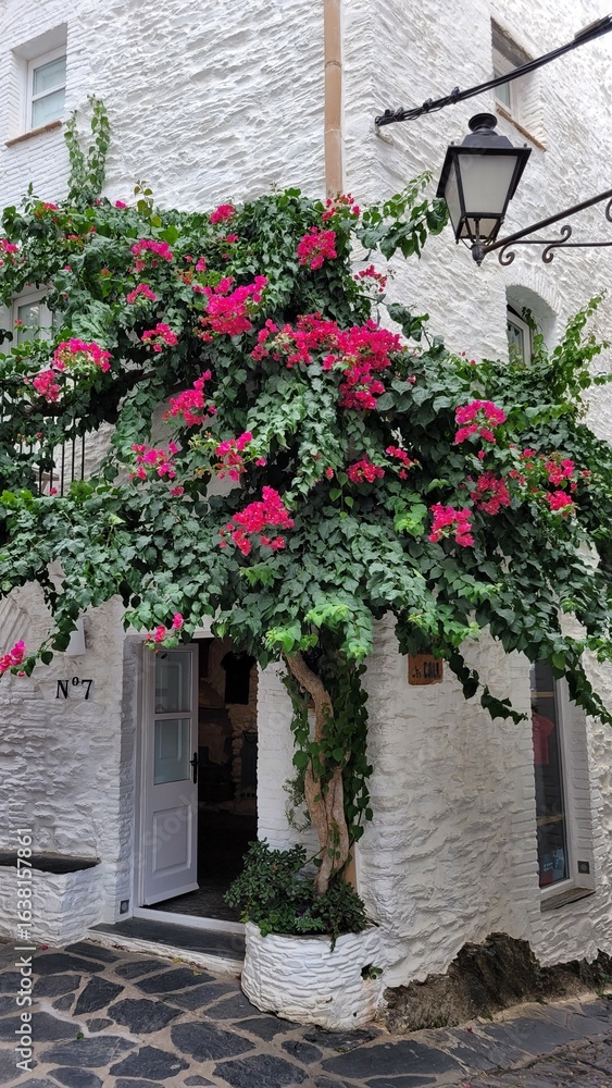 Naklejka premium House with flowers in Cadaqués, Girona, Spain