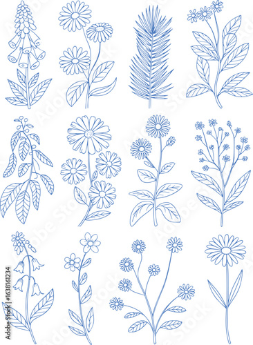 Elegant Botanical Outlines Collection Vintage Floral Illustrations Delicately Drawn Perfect for Springtime Invitations Cards and Botanical Themed Decorations Lovely Nature Outlines