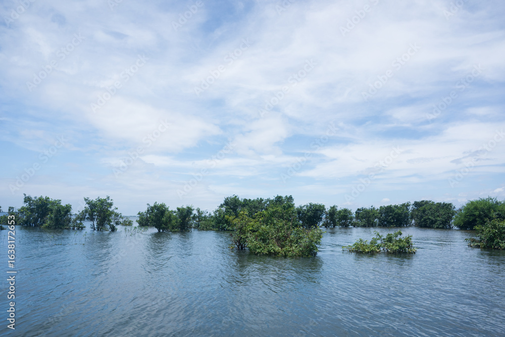 Obraz premium Beautiful nature with a tree in the river