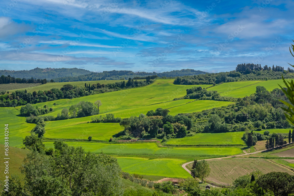 Obraz premium Verde Brillante