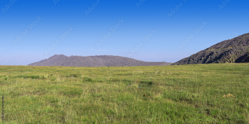 Fototapeta premium subarctic landscape, high mountain meadow on a plateau in the Northern Urals mountains