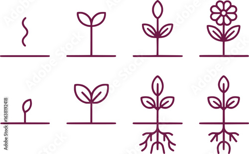Evolution of Plant Growth Depicted in Simple Line Art Icons Plant Development Stages Shown with Minimalist Design in Sequence