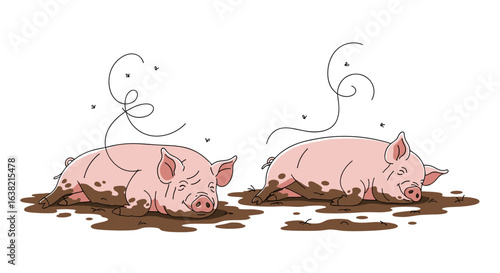 Two happy pigs rolling in mud enjoying the mud bath in a sunny day with flies flying around them