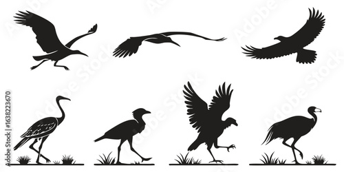 Collection of bird silhouettes featuring flying eagles doves pigeons crows and other wildlife in vector art style