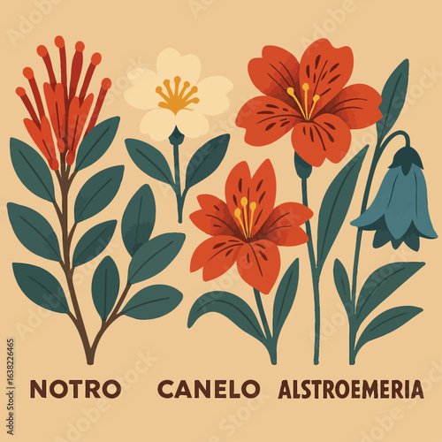 Stylized illustration of Chilean native flowers including Notro, Canelo, and Alstroemeria, featuring bold colors and clean vector design on a beige background, perfect for botanical and educational pr