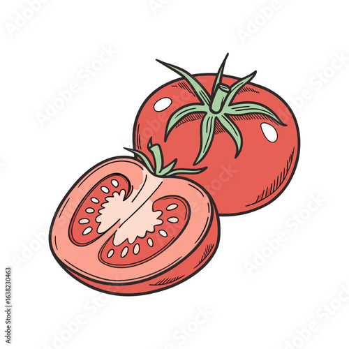 two tomato vector art illustration