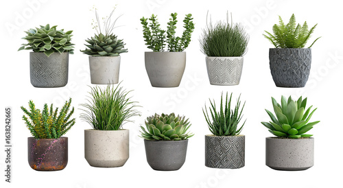 Assorted potted plants and succulents in decorative concrete containers. Various green foliage and textured leaves arranged on plain background. Modern indoor and outdoor plant collection home decor.