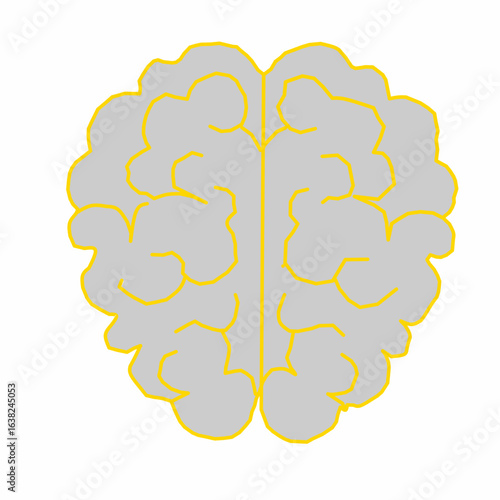Stylized human brain illustration, representing mind, ideas, and thought.