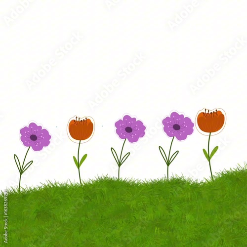flowers and grass illustration 
