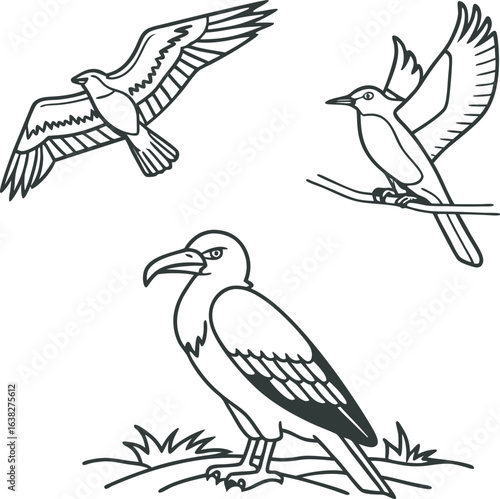 Icon of different birds for graphic design and web.eps