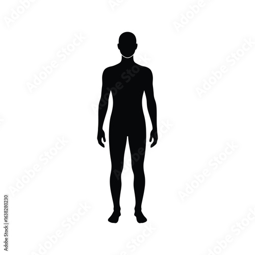 Full Body Male Silhouette Black and White Human Figure Anatomy Template Vector Illustration