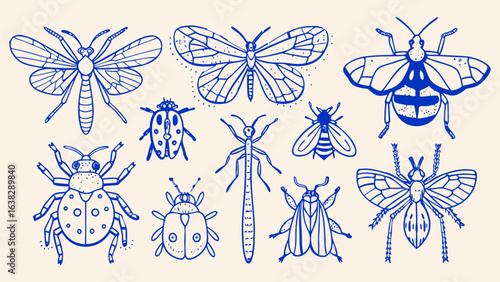 Minimalist hand drawn sketch insects vector illustration.