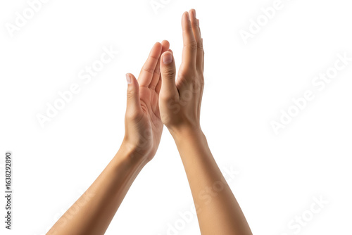 Close-up of female hands clapping against white background, expressing approval, appreciation, celebration, support, encouragement, recognition, positivity, and unity on transparent background