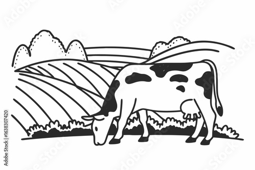 cow grazing near field