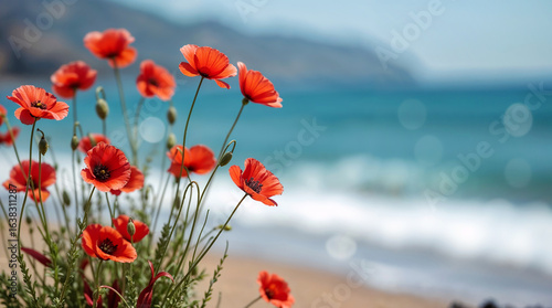 Fototapeta Naklejka Na Ścianę i Meble -  poppy flowers on the beach