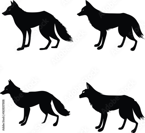 Silhouette Canidae Collection A Study of Four Wolves in Various Poses Embodying the Grace and Power of the Wild