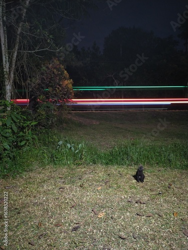 Light trail from vehicles on the road