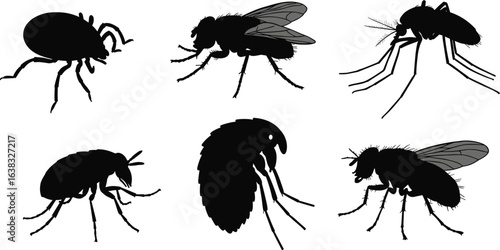 
Black silhouettes of common pests including tick, fly, mosquito, flea, and gnats isolated on white background, vector insect icons
