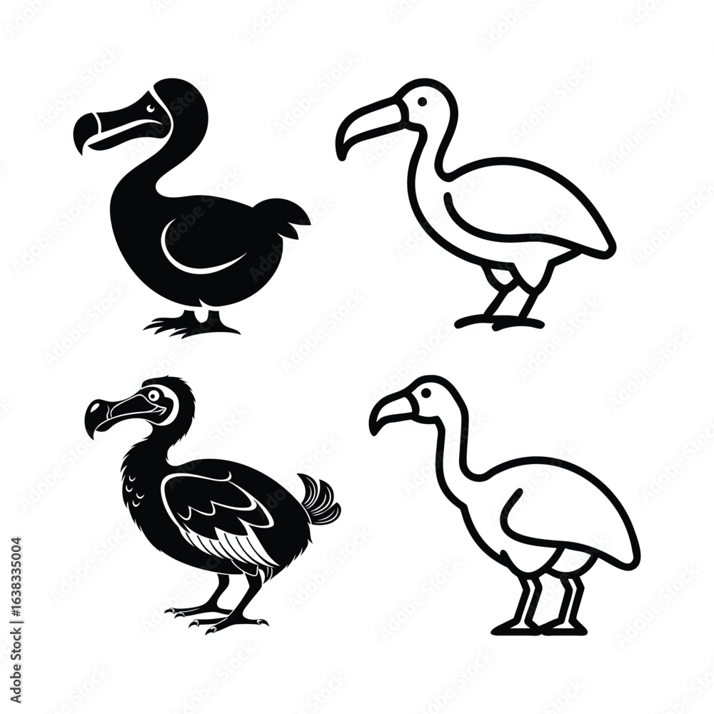 Obraz premium Dodo bird