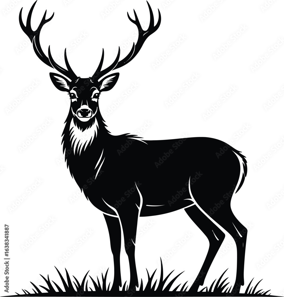 Fototapeta premium Majestic stag standing in grass deer antlers