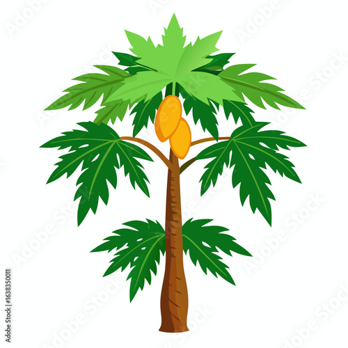 palm tree vector illustration