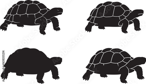 Four tortoise silhouettes in different poses silhouette