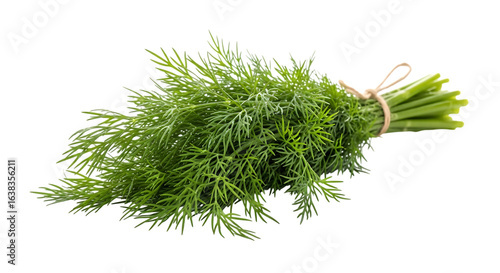 Aromatic dill herb tied in a bundle, isolated on transparent background this fresh ingredient adds a unique flavor to various dishes, making it a popular choice for cooking