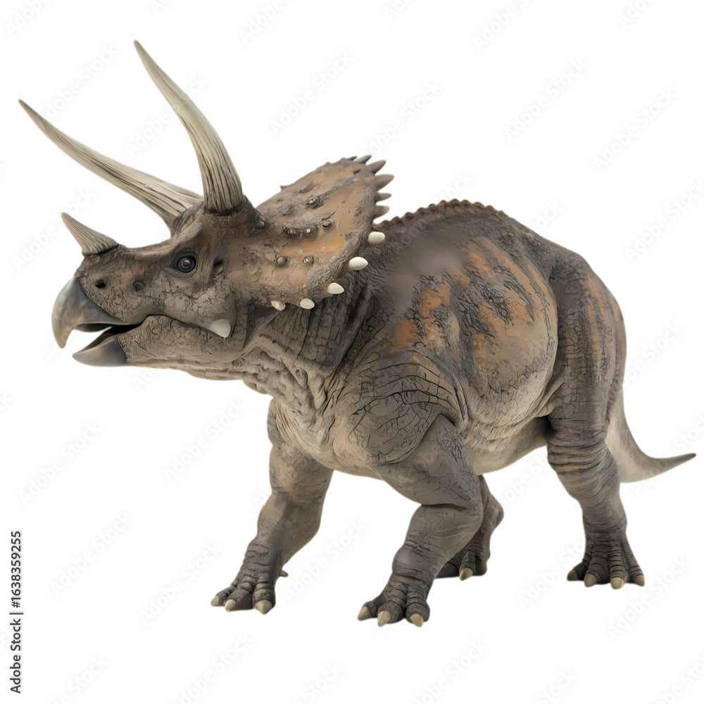 Fototapeta premium Realistic Triceratops Dinosaur Illustration
