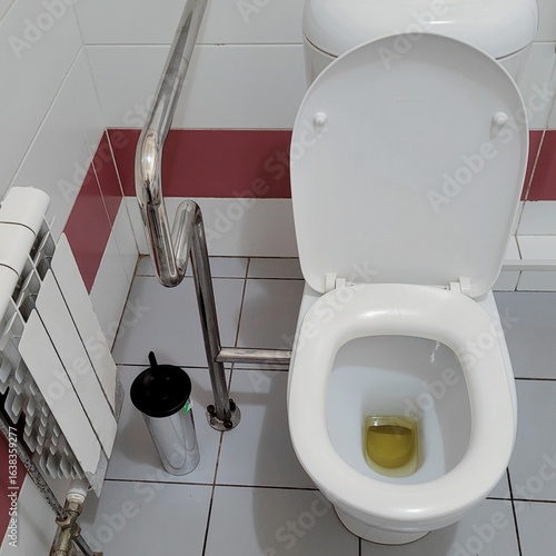 White toilet with an open seat in a bathroom, featuring a small puddle of yellow liquid inside. A black plunger sits to the left of the toilet, along with a metallic grab bar.