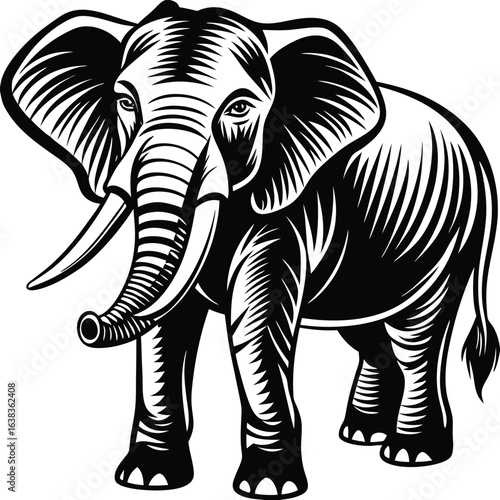 silhouette of a elephant illustration vector