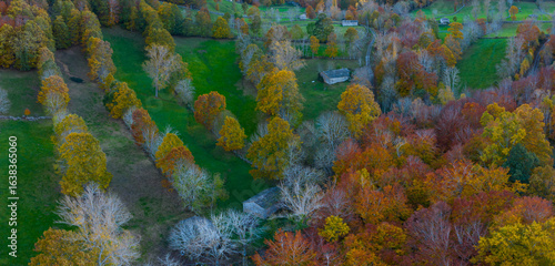 Aerial drone view of the autumn landscape in the Burgos Mountains, in the Pasiegos Valleys of the province of Burgos. Espinosa de los Monteros, Burgos, Castile and León, Spain, Europe