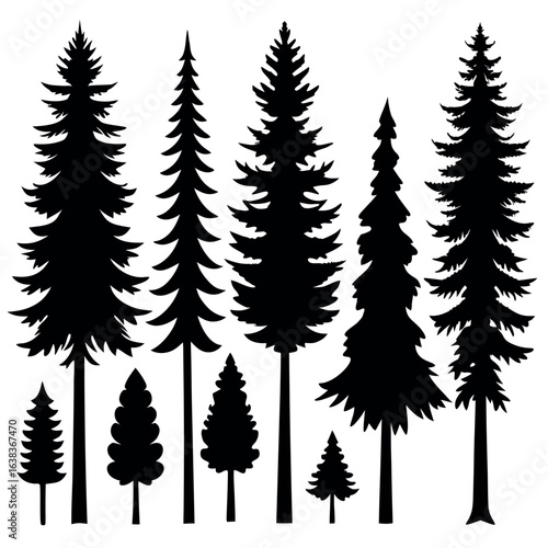 Set of Forest Tree Silhouettes – Isolated Vector Illustrations | Coniferous Trees including Christmas Tree, Fir, Pine, Scotch Fir, and Cedar