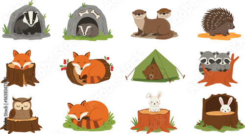 Cute forest animals sleeping in burrows, dens, tree stumps, tents, ideal for kids book illustrations, education design, posters, stickers or cartoon projects