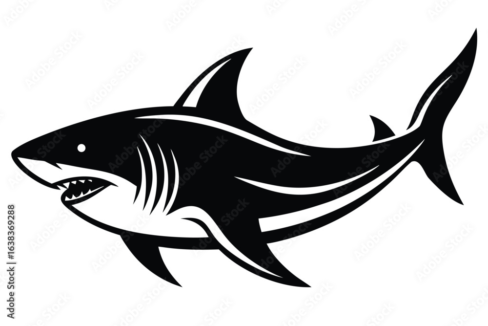 Fototapeta premium Detailed Illustration of a Great White Shark