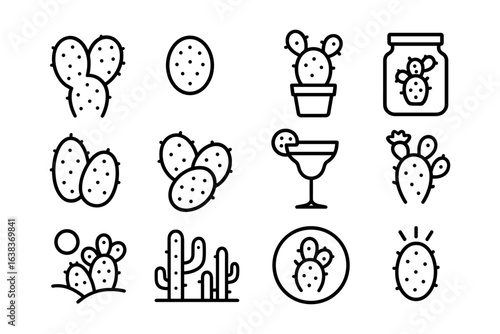 Cacti outline icons set featuring desert vegetation and creative arrangements