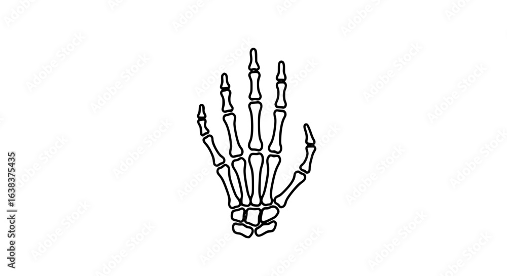 Fototapeta premium Skeleton hand minimalist black and white icon