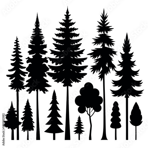 Pine tree silhouettes. Evergreen forest firs and spruces black shapes, wild nature trees templates. Vector illustration woodland trees set on white background