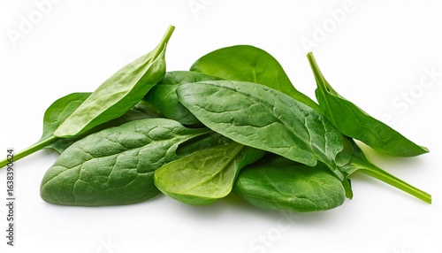 fresh spinach leaves on white