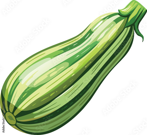 Green Striped Zucchini Squash Vegetable on White Background