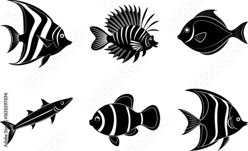 Saltwater Fish Collection with Clownfish, Angelfish, Lionfish, Blue Tang, Barracuda, Moorish Idol