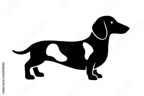 Design a black silhouette of a Piebald Dachshund white background clean vector shape